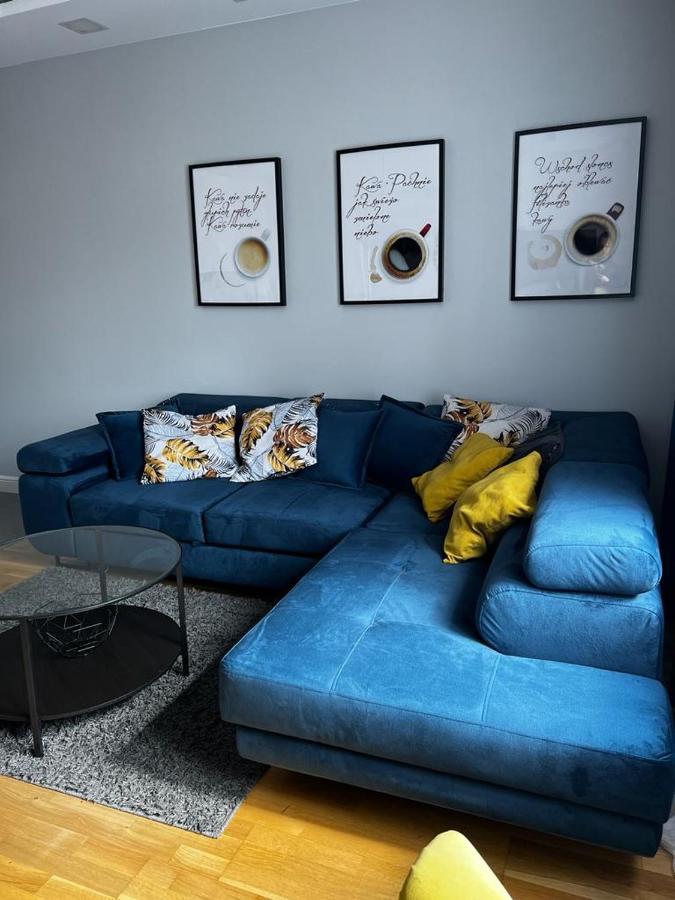 Family & Business Elegant Apartments Ul Astronautow Centrum Downtown - 3 Bedroom, Parking キェルツェ エクステリア 写真